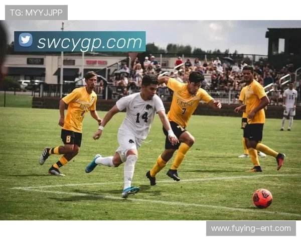 开云体育在线登入赛事直播实时同步，第一时间掌握体育比赛最新动态